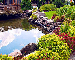 Water Features/Ponds